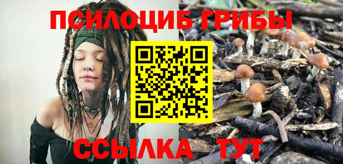 Галлюциногенные грибы прущие грибы Троицк
